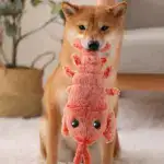 Floppy Lobster Interactive Dog Toys🐶