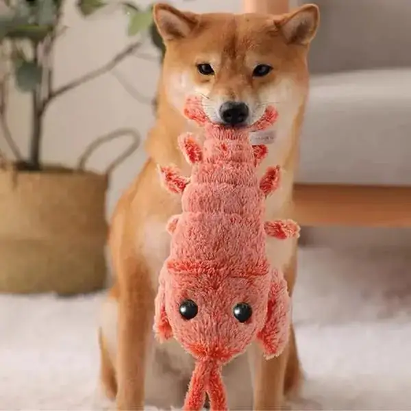 1697796677893-2.jpg Floppy Lobster Interactive Dog Toys🐶