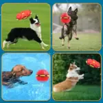 Frisbee Ball Pet Toy