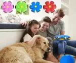 Frisbee Ball Pet Toy