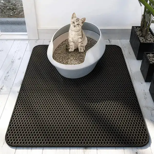 1699608850924.png Double Layer Non-Slip Pet Cat Litter Mat