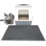 Double Layer Non-Slip Pet Cat Litter Mat