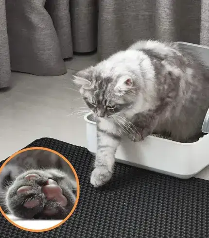 Waterproof Cat Litter Mat