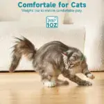 Electric Smart Amusing Collar for Kitten