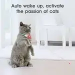 Electric Smart Amusing Collar for Kitten