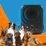 Ultrasonic Dog Barking Control Device