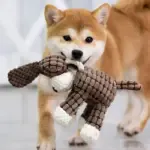 Plush Dog Toys Corduroy