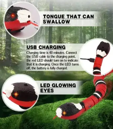 SLITHER SPRINT™ INTERACTIVE CAT TOY
