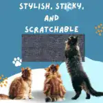 Cat Scratching Pad