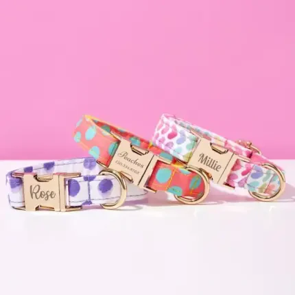 Personalized Cute Dog Collar and Leash Set