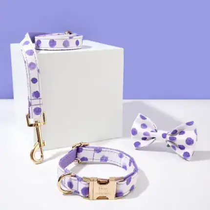 Personalized Cute Dog Collar and Leash Set