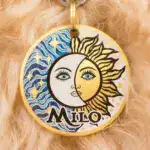 Personalized Pet Collar Name Tag