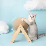 New Pets Curations Anti-Depression Cat Ball Toy😸