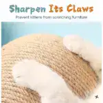 New Pets Curations Anti-Depression Cat Ball Toy😸