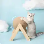 New Pets Curations Anti-Depression Cat Ball Toy😸
