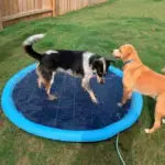 Refreshing Dog Sprinkler Pad - Image 5